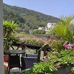 Mit Privatem Balkon Und Meerblick Im Rustikalen Stil Appartement Icod De Los Vinos