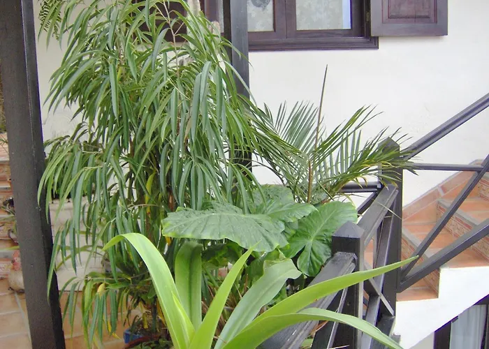 Apartament Mit Privatem Balkon Und Meerblick Im Rustikalen Stil Icod De Los Vinos